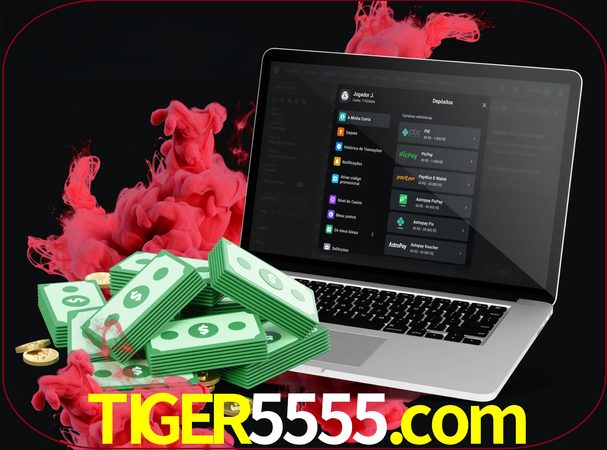 Para efetuar um depósito na sua conta tiger5555, basta escolher o método de depósito e especificar o montante.