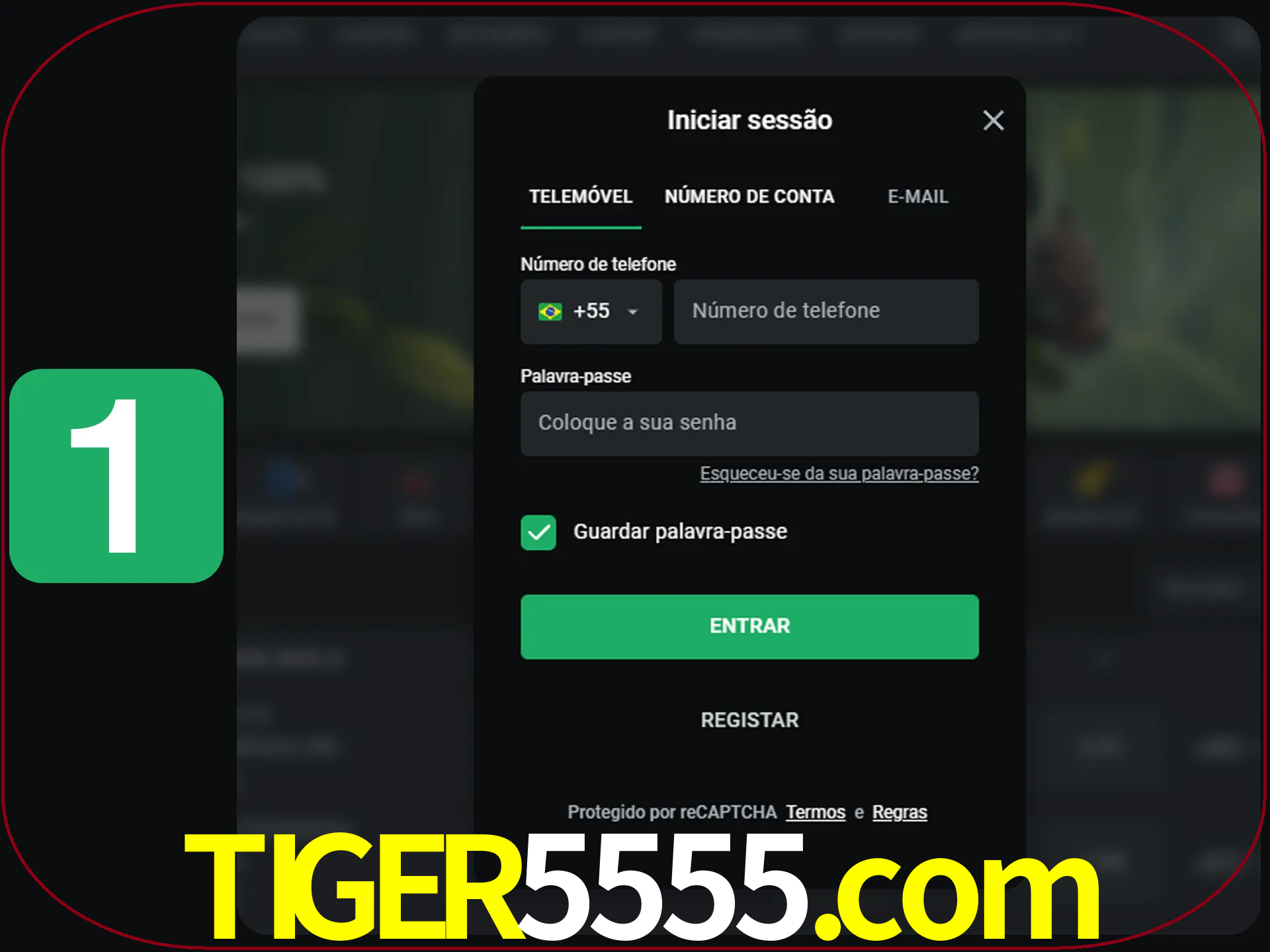 Clique no botão Entrar.